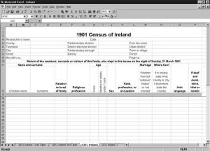 CensusTools 1901 Ireland Census Template