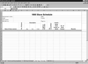 CensusTools US 1860 Slave Schedule Template